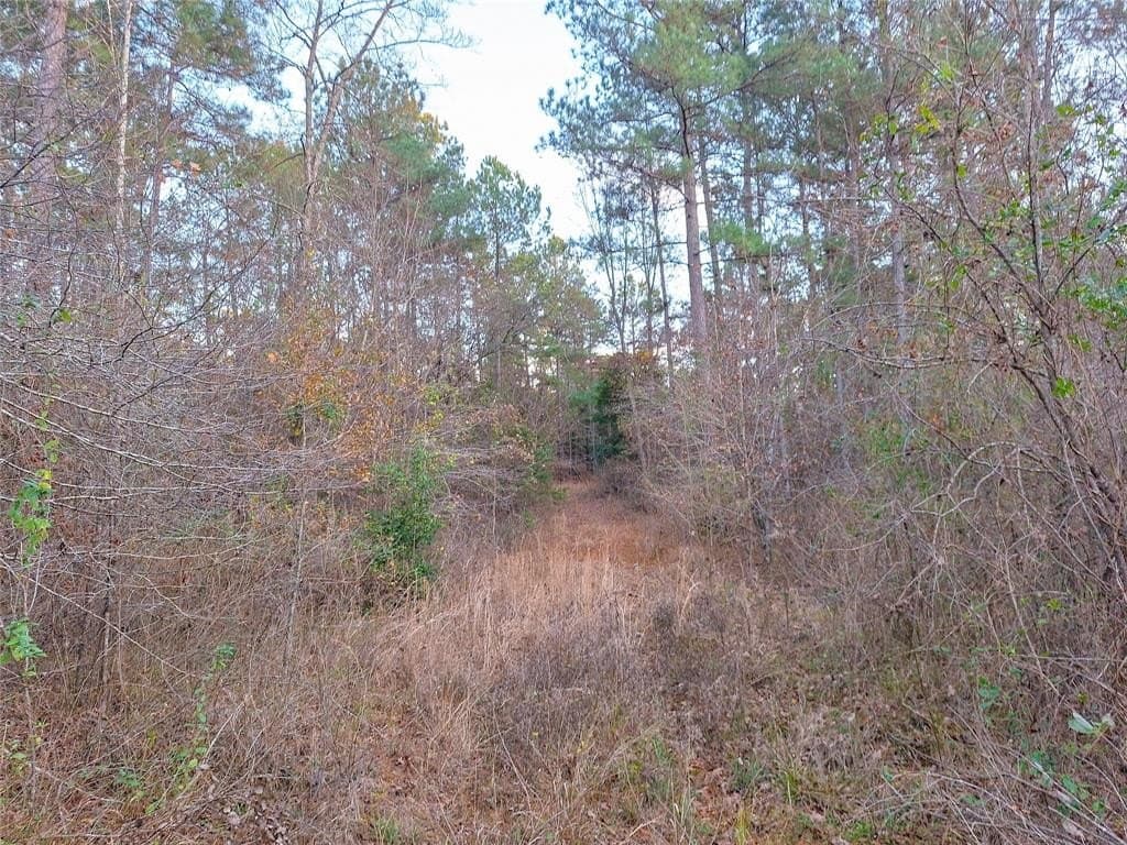 43.7 acres in Cass County - photo 20