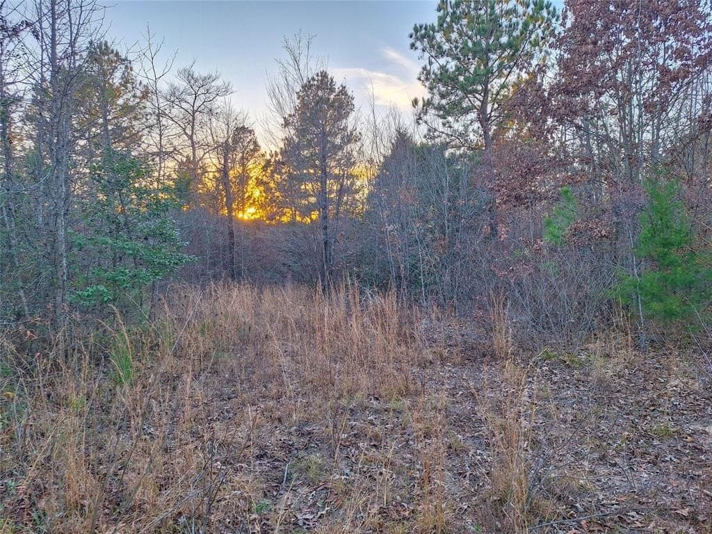 43.7 acres in Cass County - photo 18