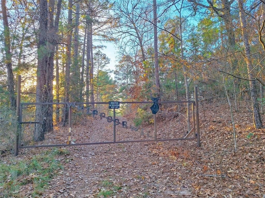 43.7 acres in Cass County - photo 4