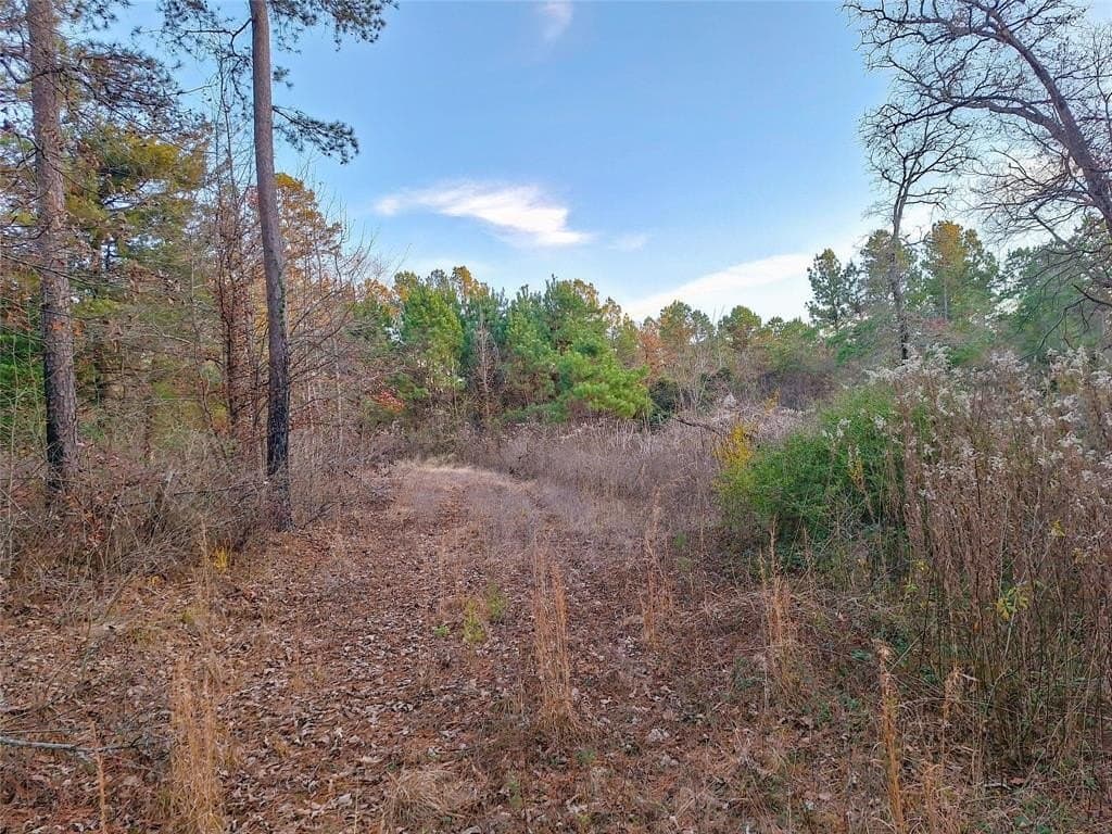 43.7 acres in Cass County - photo 31
