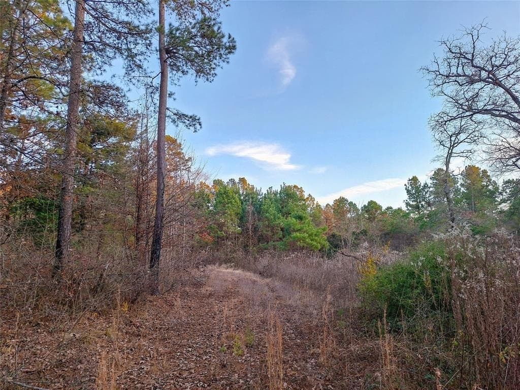 43.7 acres in Cass County - photo 32