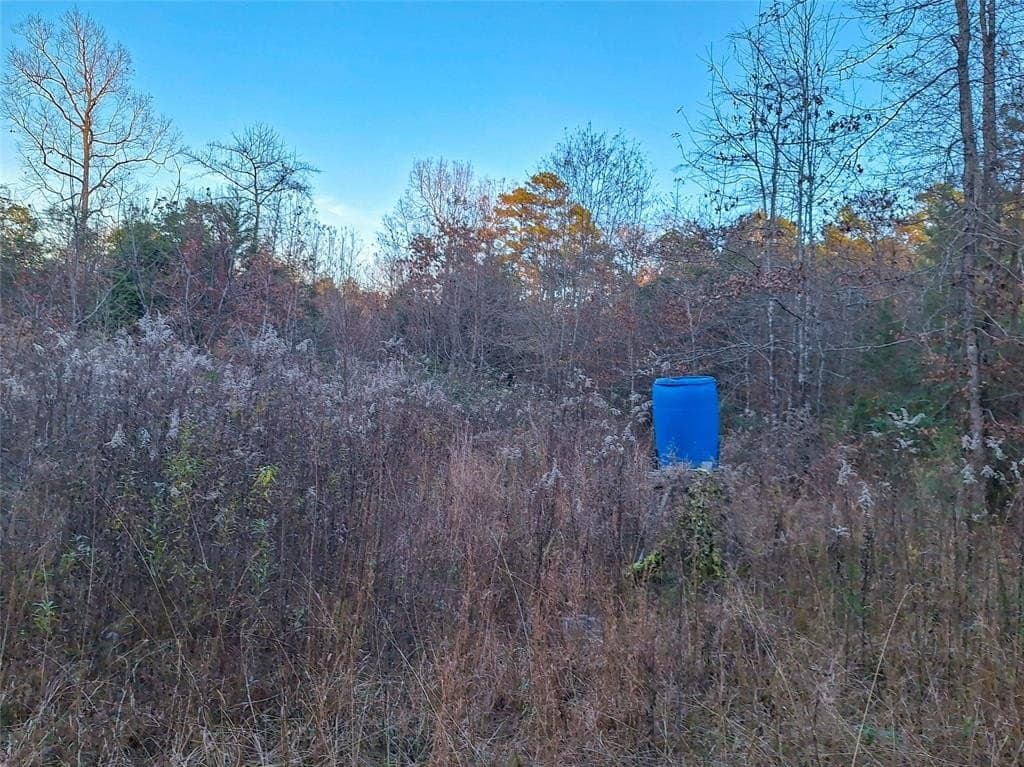 43.7 acres in Cass County - photo 26