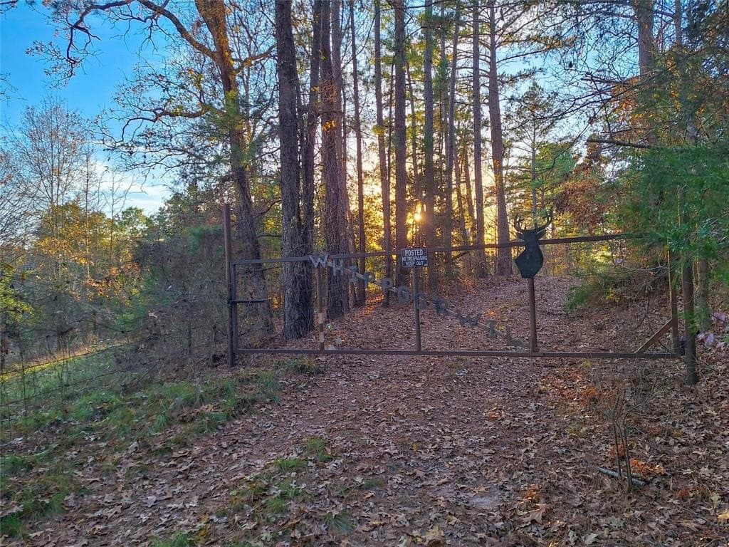 43.7 acres in Cass County - photo 3