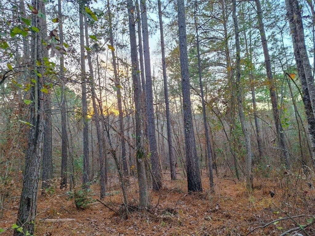 43.7 acres in Cass County - photo 29