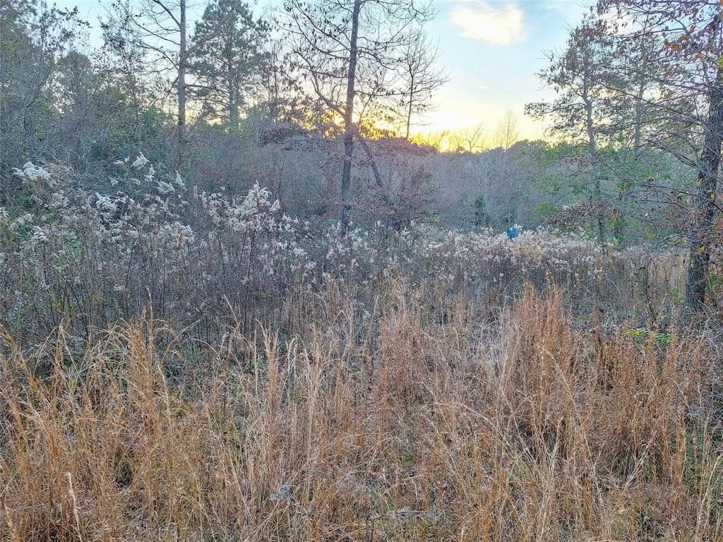 43.7 acres in Cass County - photo 27