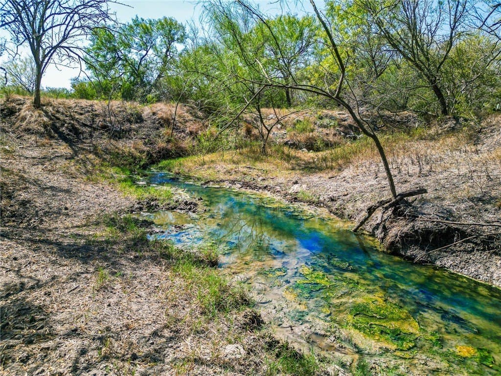 1,919 acres in Atascosa County - photo 4