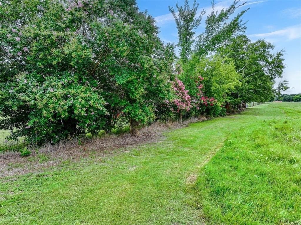 3 acres in Kaufman County - photo 13