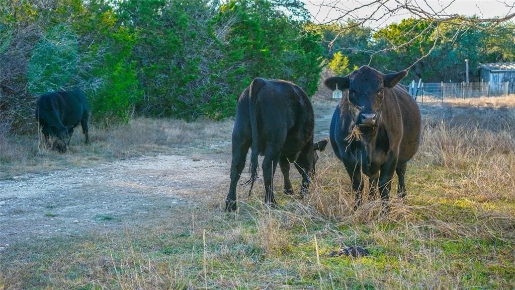 85.55 acres in Lampasas County - photo 39