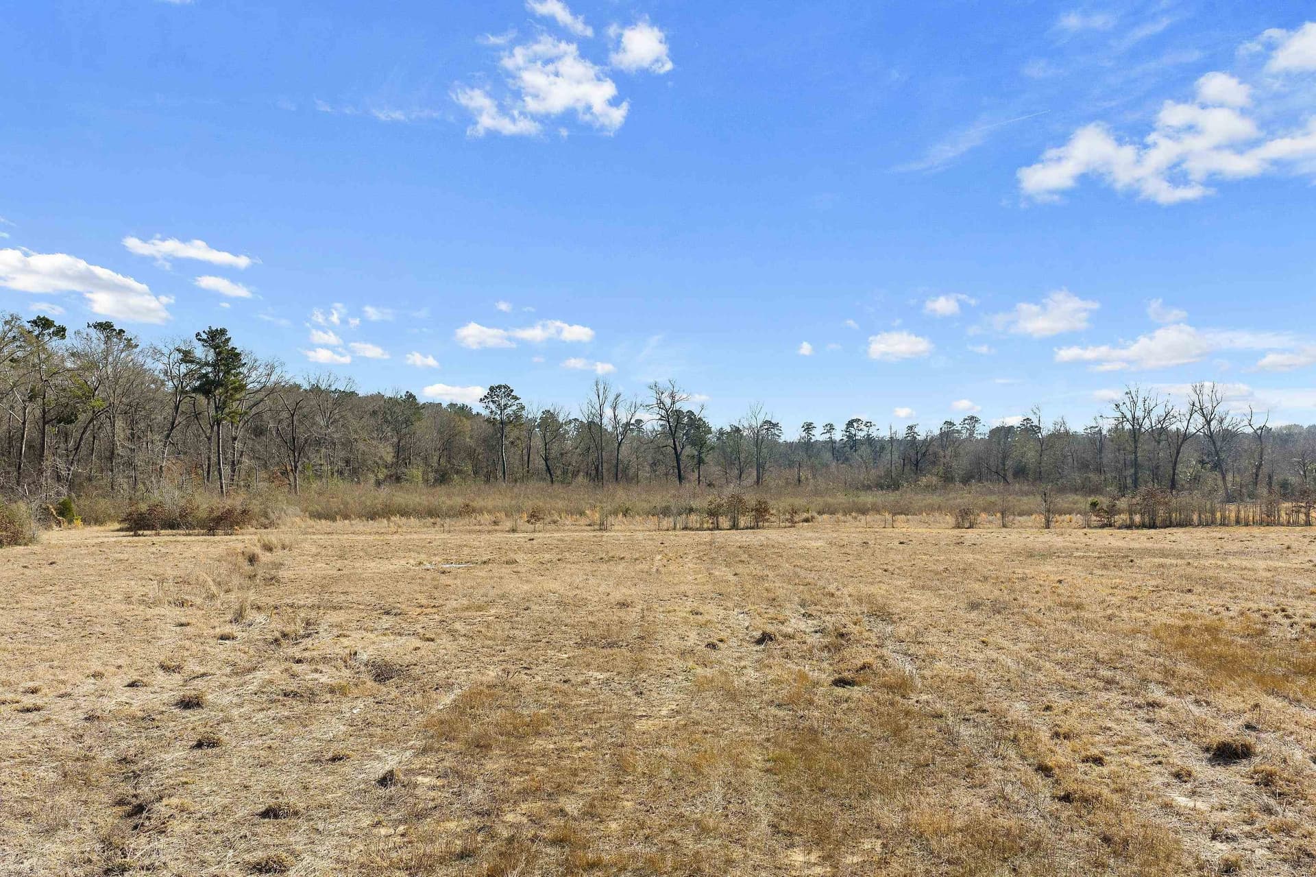 10 acres in Panola County - photo 4
