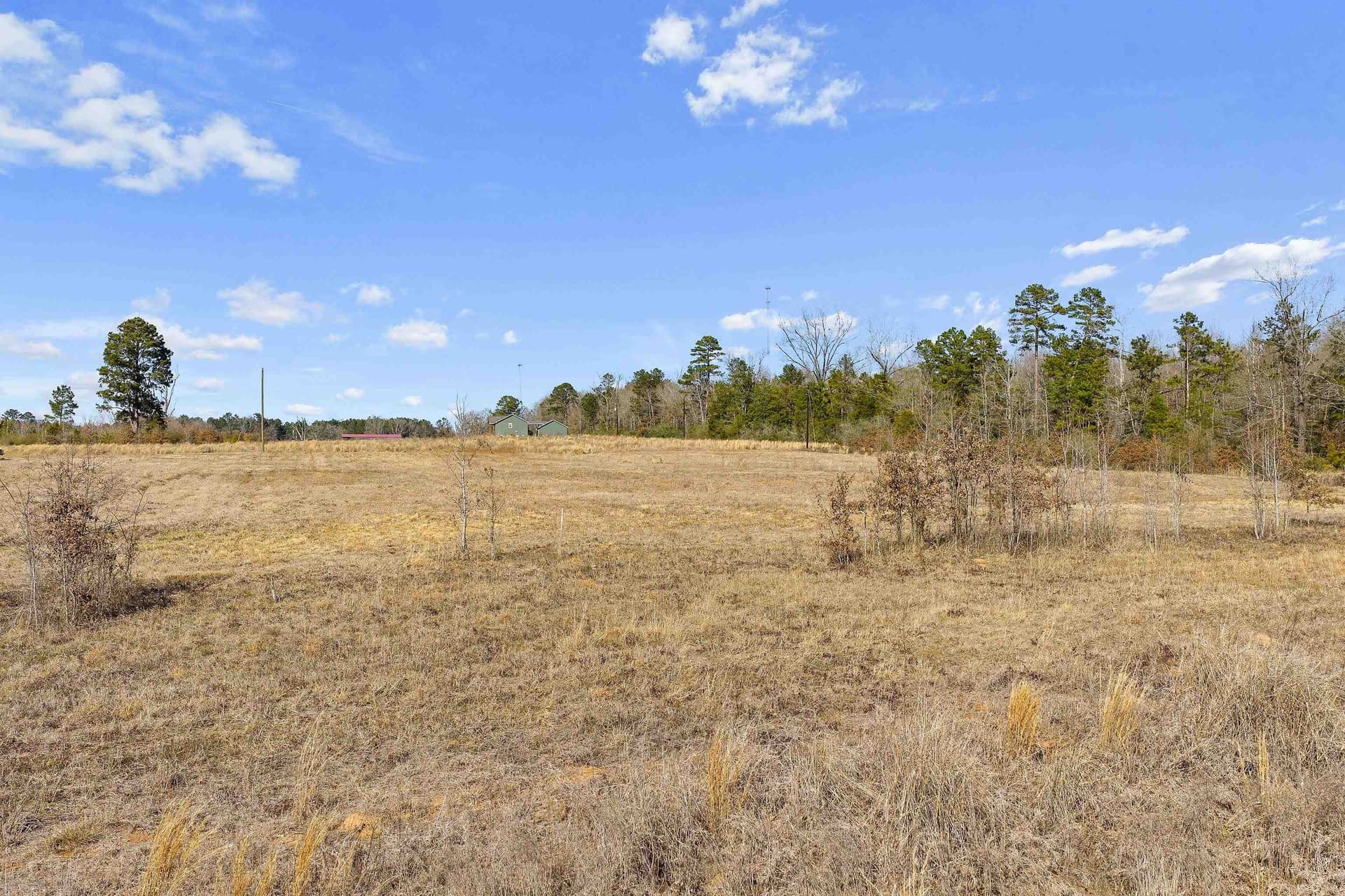 10 acres in Panola County - photo 5