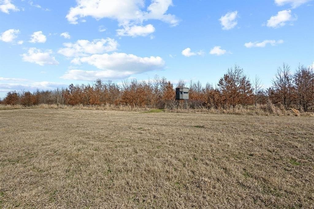594.65 acres in Lamar County - photo 17