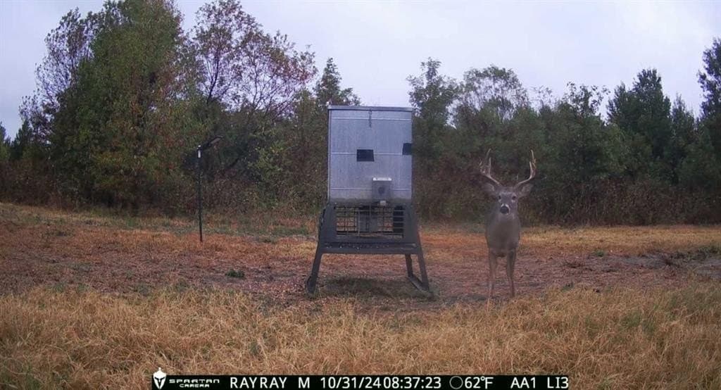 594.65 acres in Lamar County - photo 32