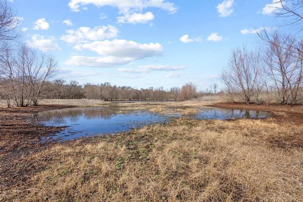 594.65 acres in Lamar County - photo 24