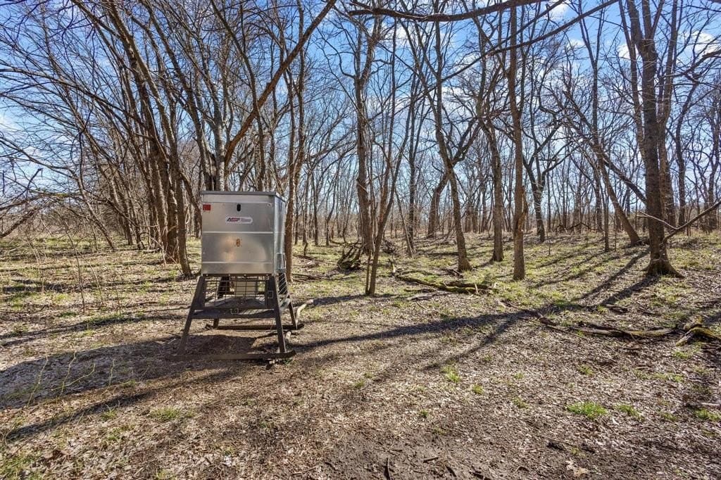 594.65 acres in Lamar County - photo 25