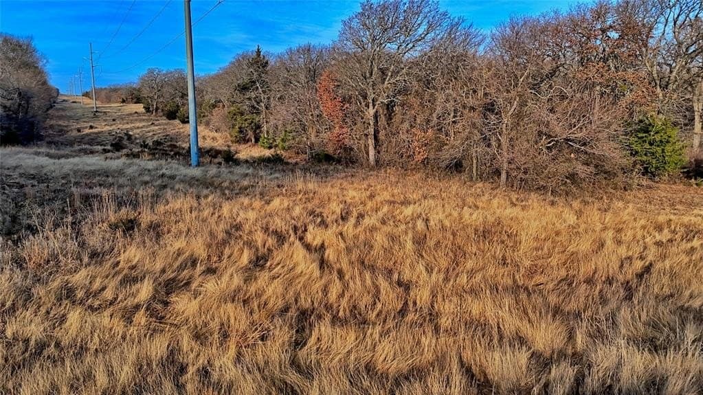 33.81 acres in Montague County - photo 14