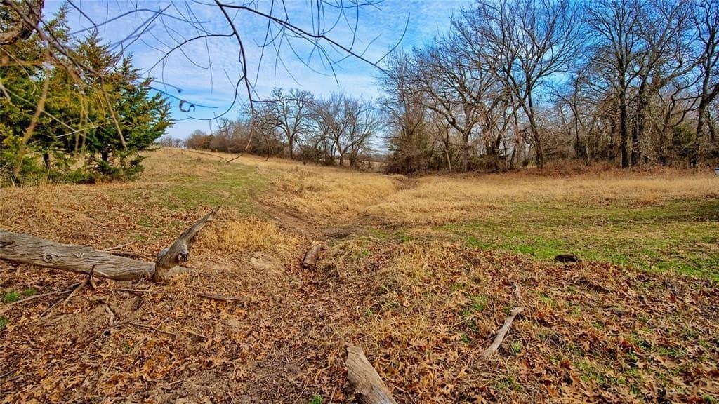 33.81 acres in Montague County - photo 11