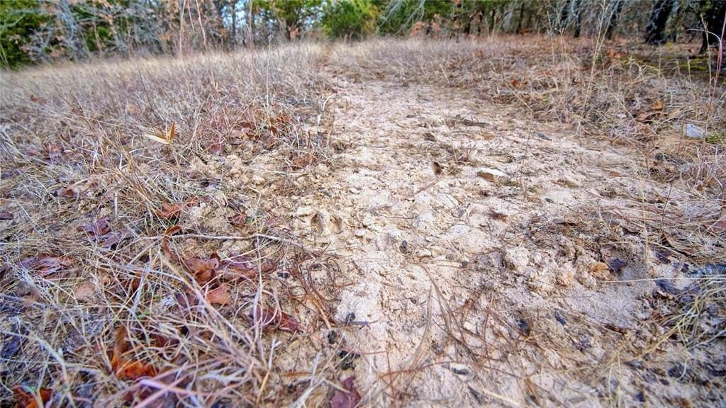 33.81 acres in Montague County - photo 9