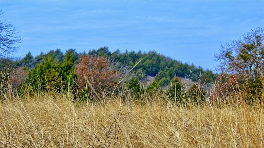 33.81 acres in Montague County - photo 8
