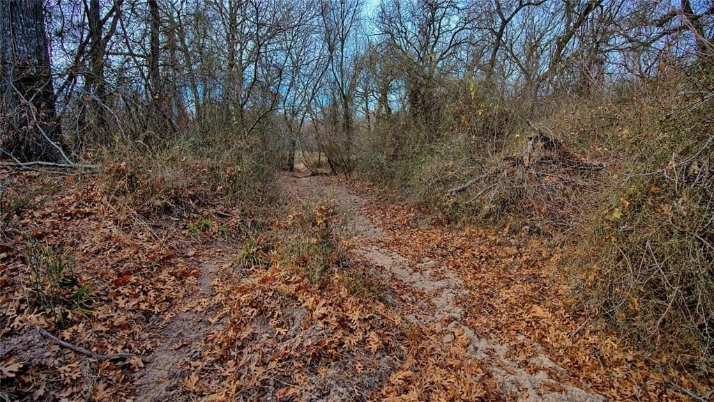 33.81 acres in Montague County - photo 5