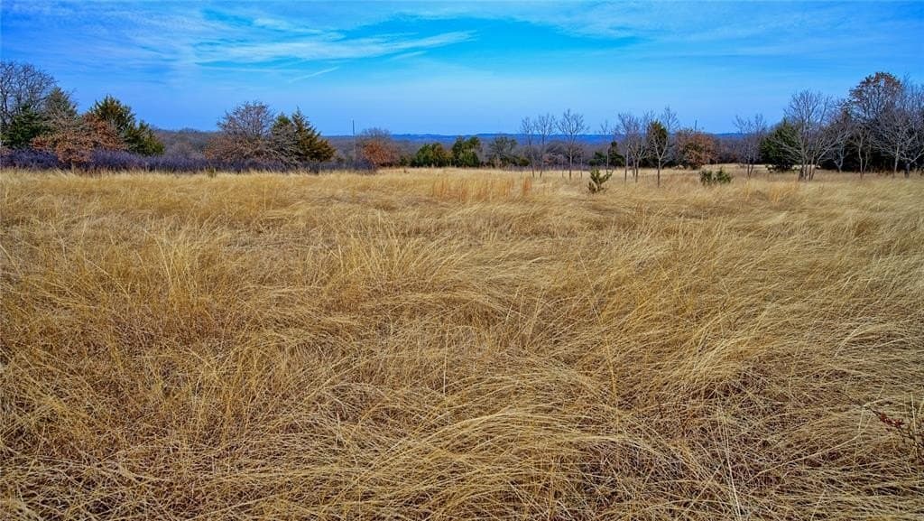 33.81 acres in Montague County - photo 10