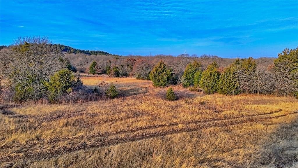 33.81 acres in Montague County - photo 4
