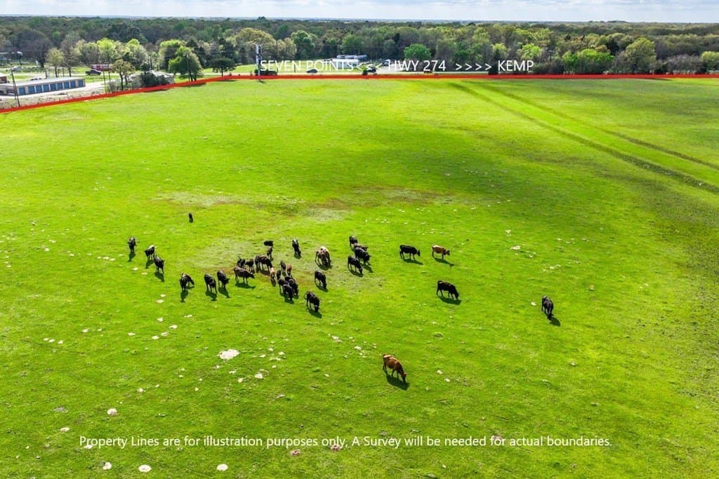 30.68 acres in Henderson County - photo 15