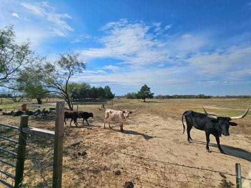 10 acres in Kaufman County - photo 23