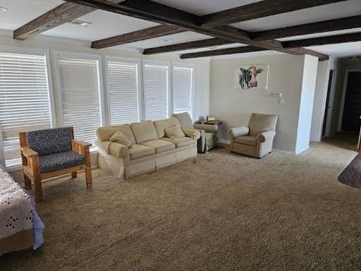 10 acres in Kaufman County - photo 6