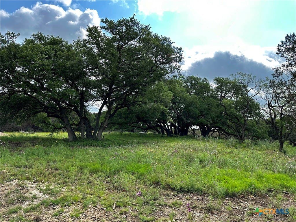 10 acres in Burnet County - photo 14