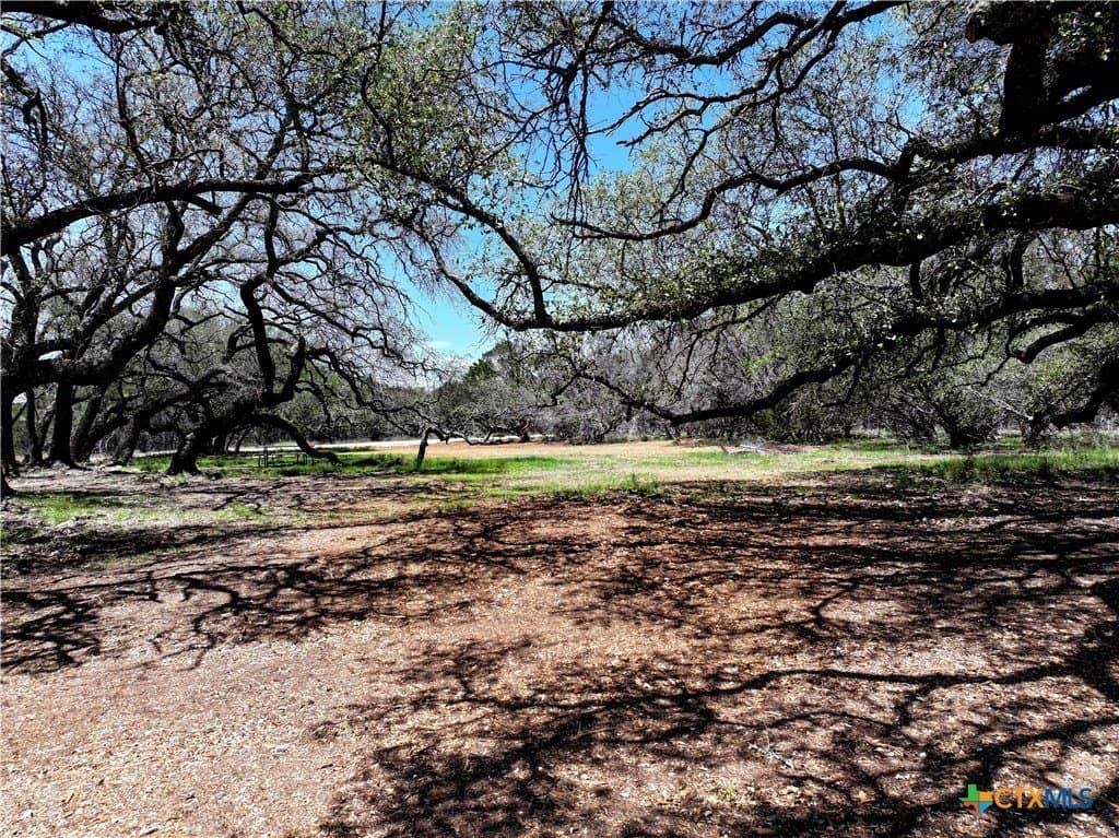 10 acres in Burnet County - photo 6
