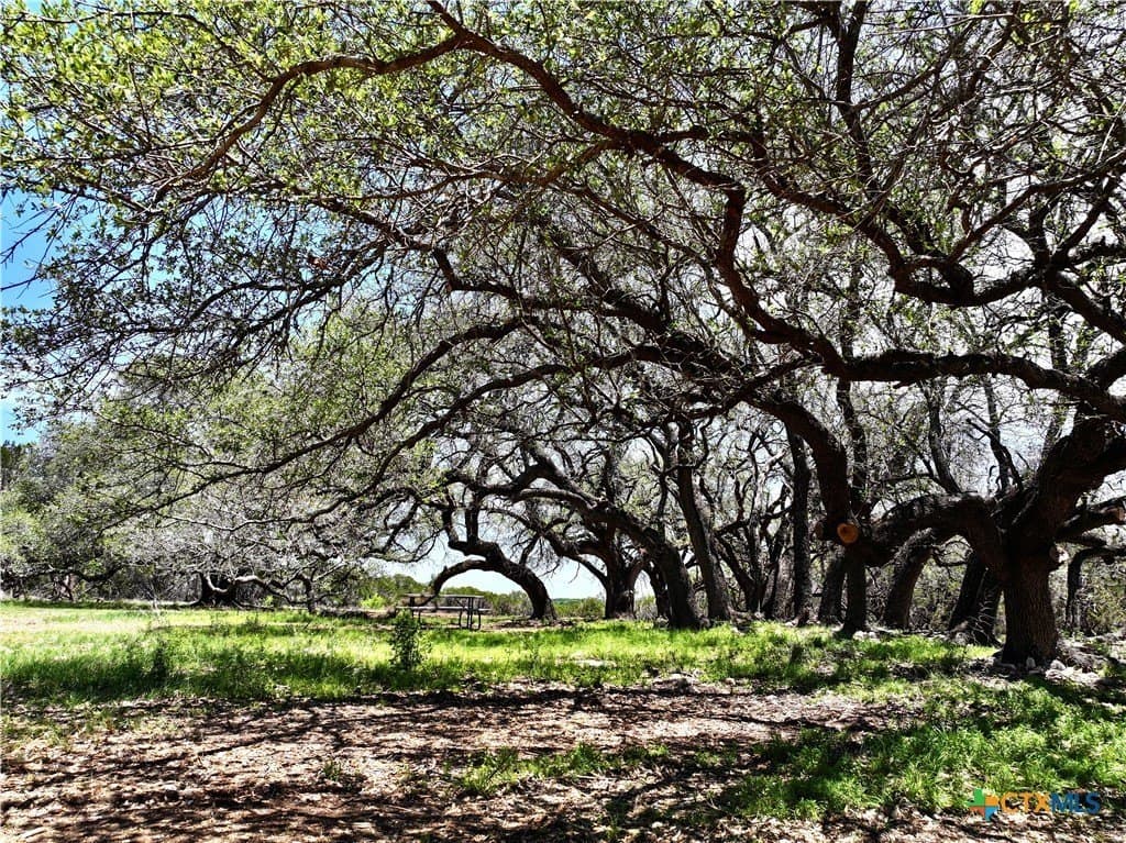 10 acres in Burnet County - photo 8