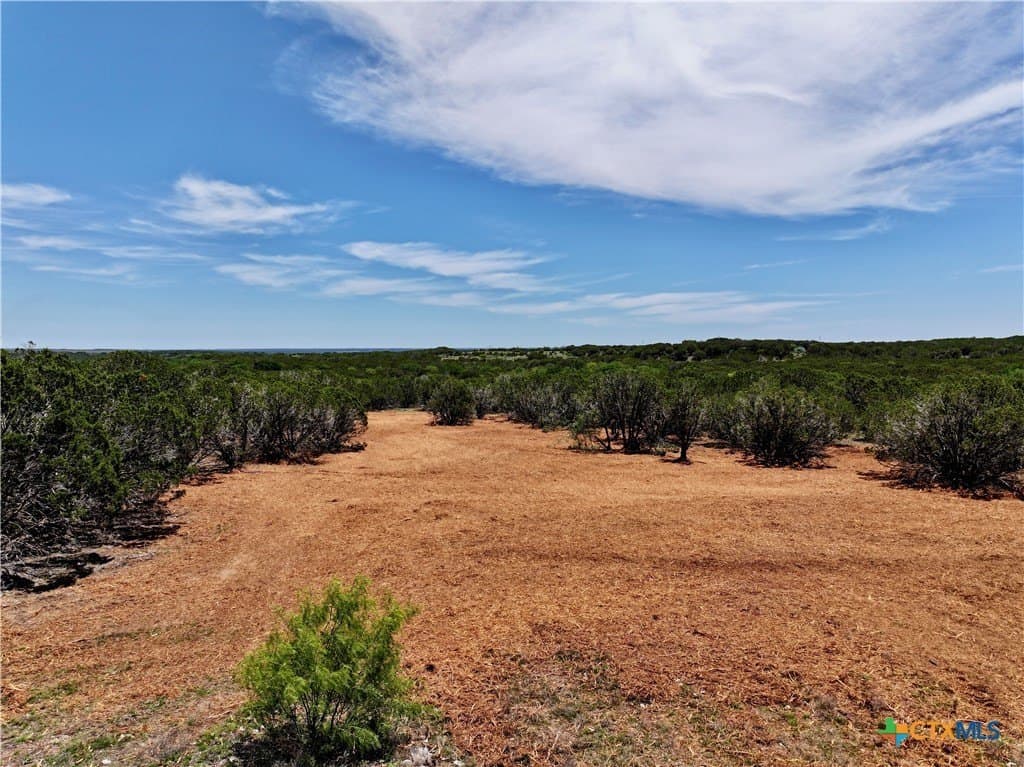 10 acres in Burnet County - photo 7