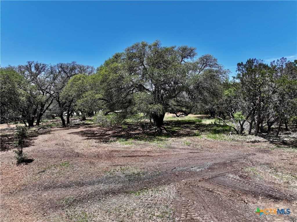 10 acres in Burnet County - photo 9