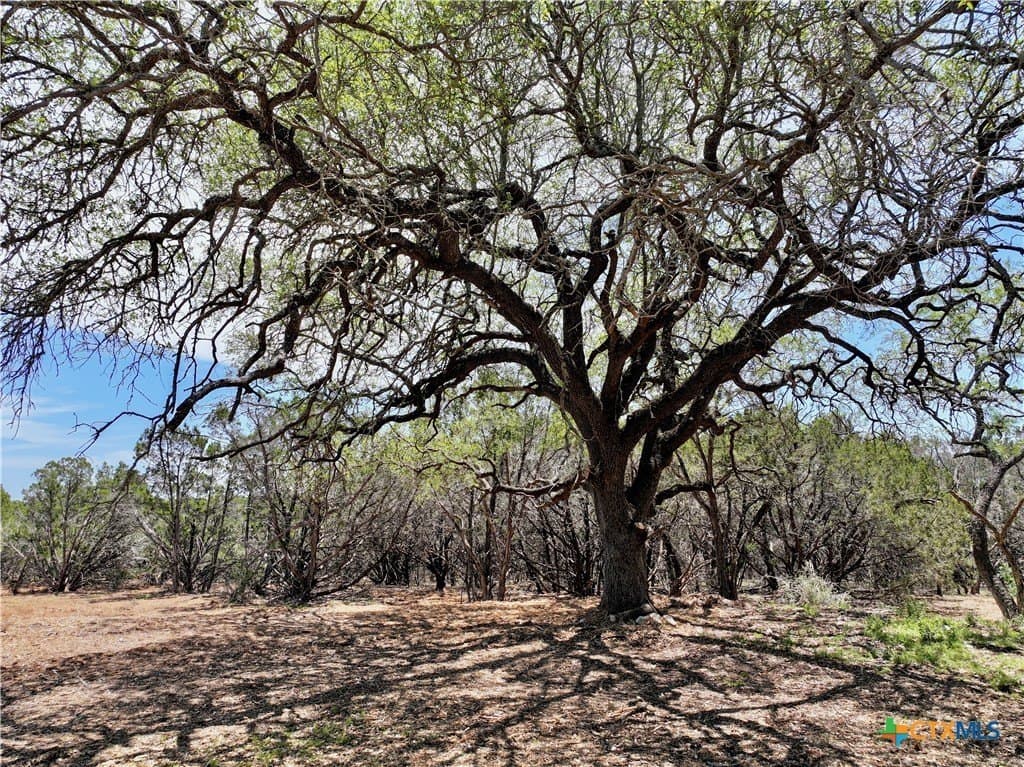 10 acres in Burnet County - photo 5