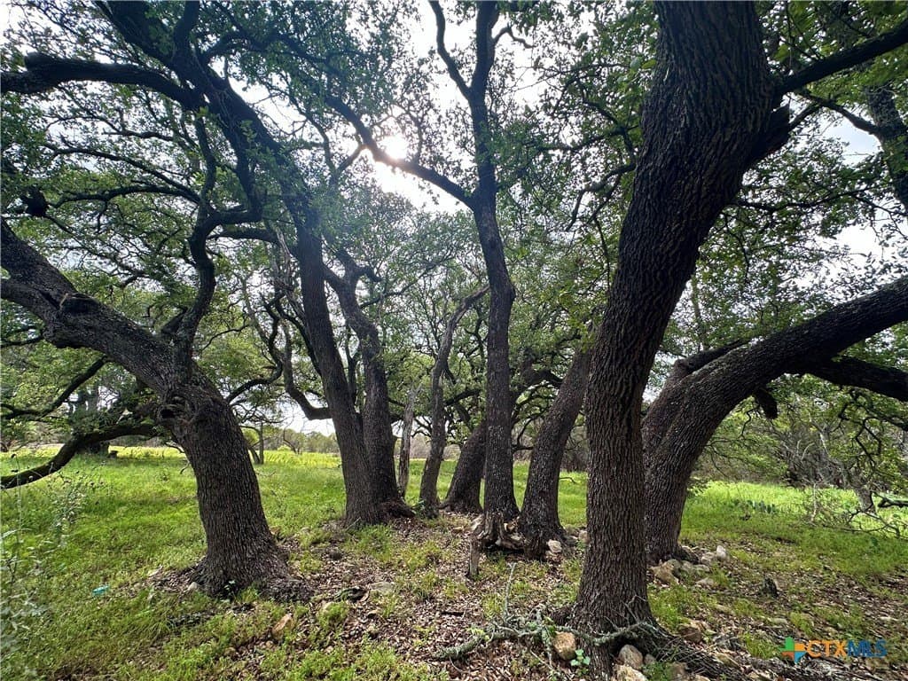 10 acres in Burnet County - photo 18