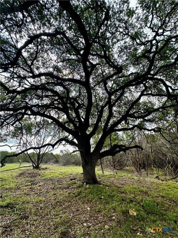 10 acres in Burnet County - photo 17