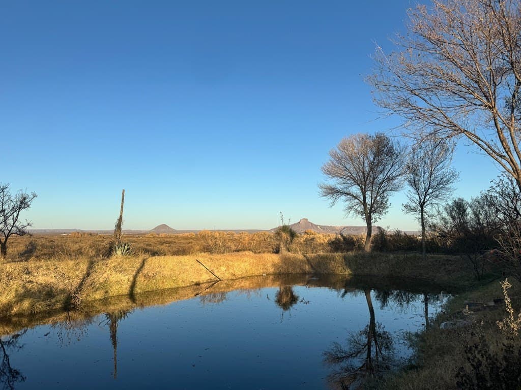 19.99 acres in Presidio County - photo 27