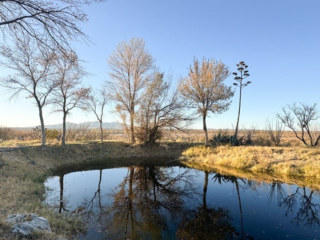 19.99 acres in Presidio County - photo 26