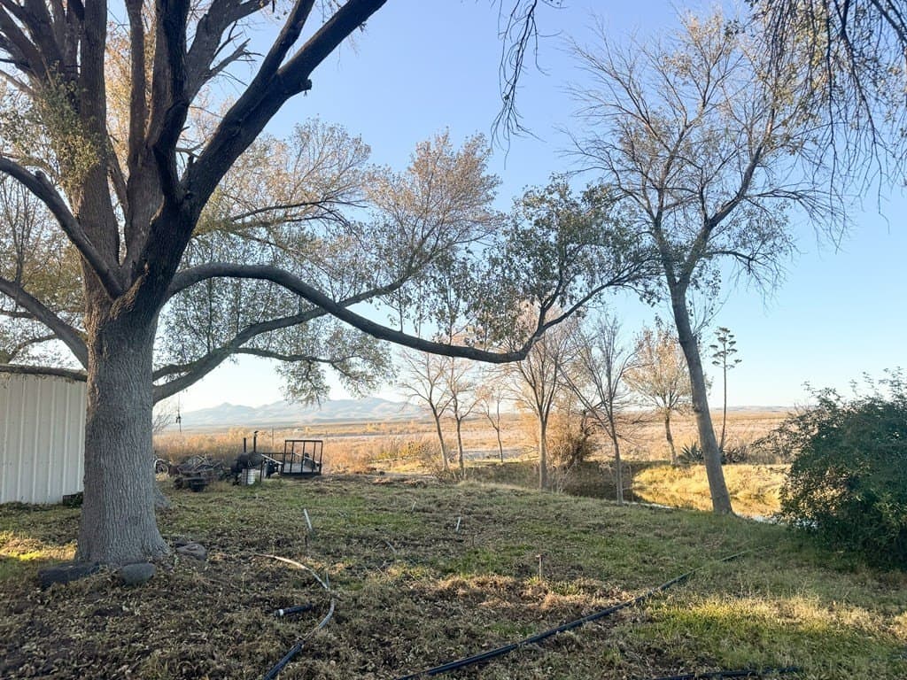 19.99 acres in Presidio County - photo 25