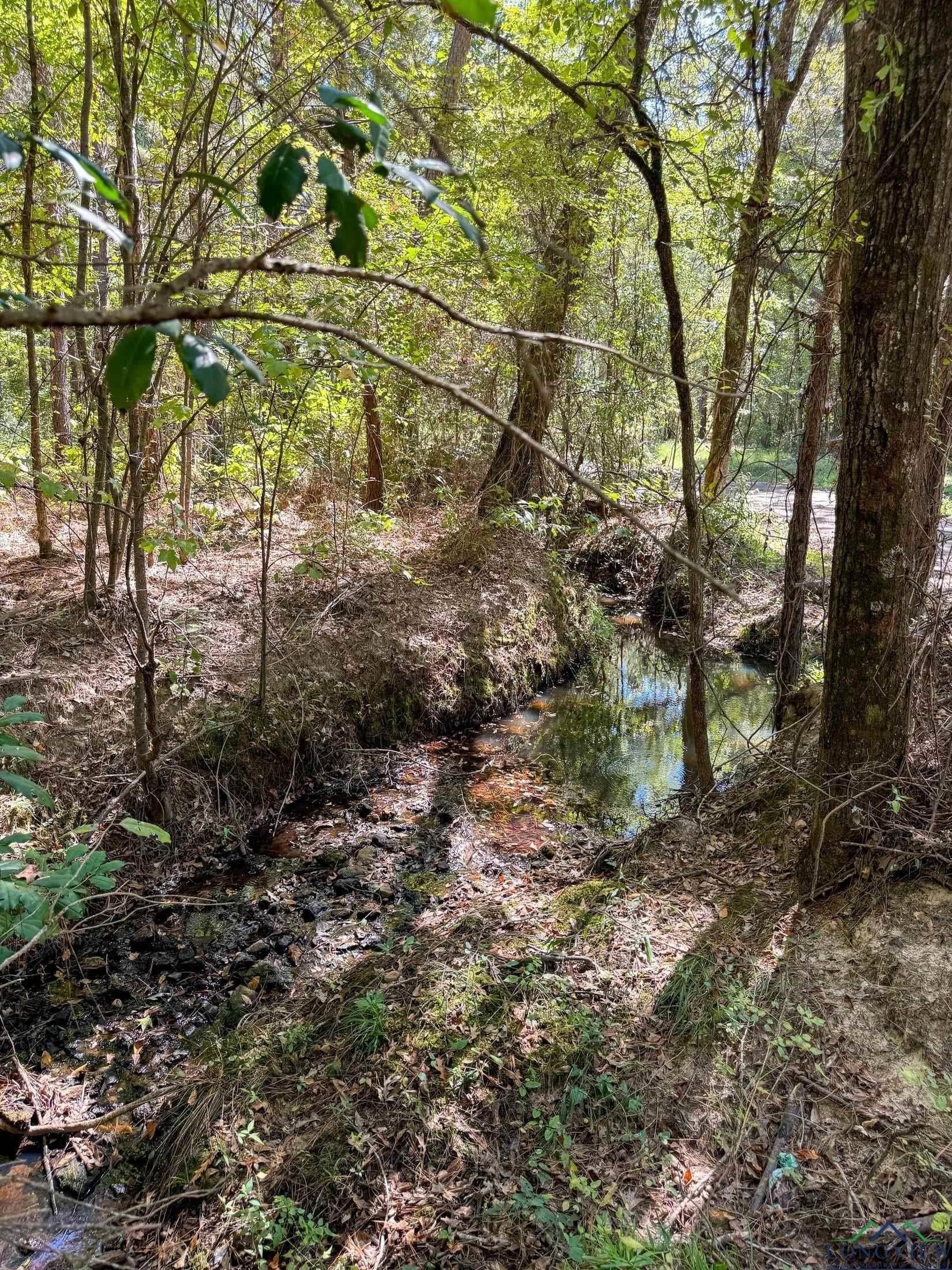 13.59 acres in Texas County - photo 11