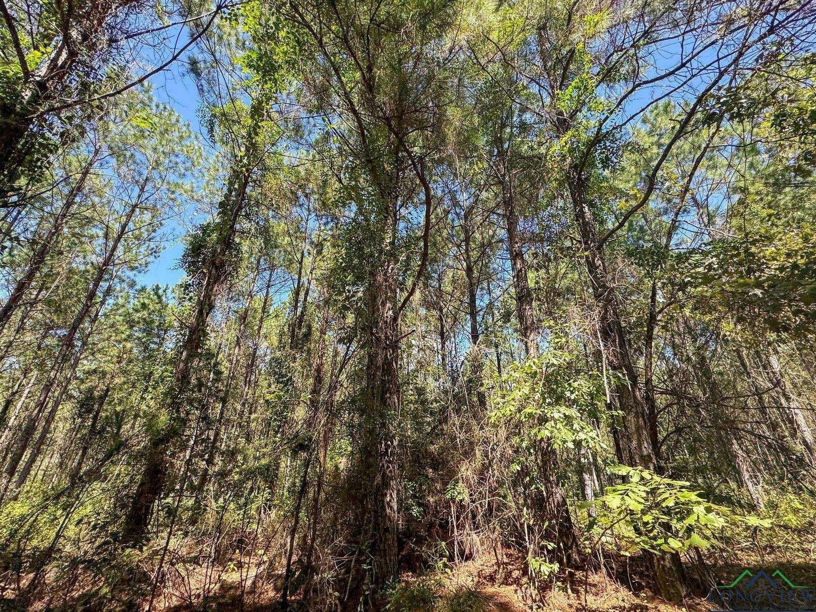 13.59 acres in Texas County - photo 12
