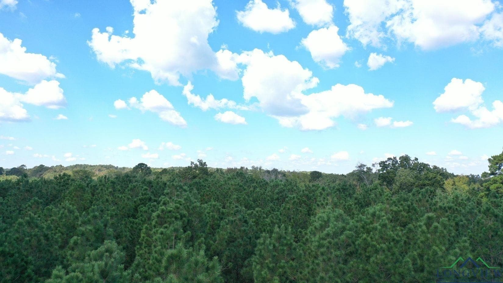 13.59 acres in Texas County - photo 4