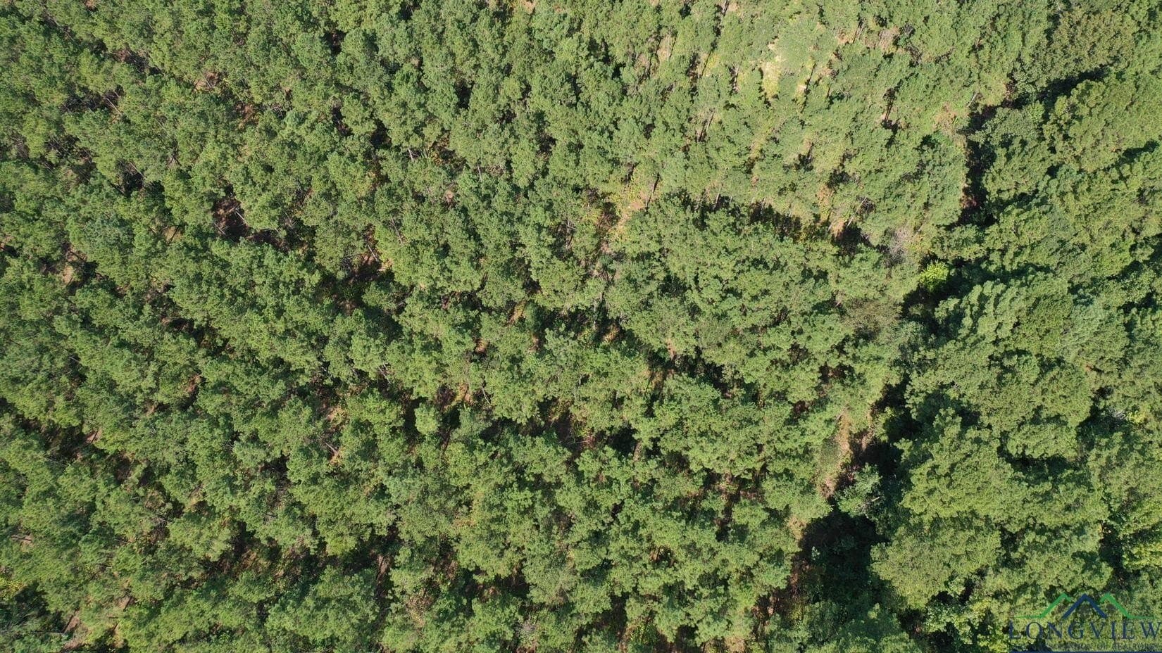 13.59 acres in Texas County - photo 5