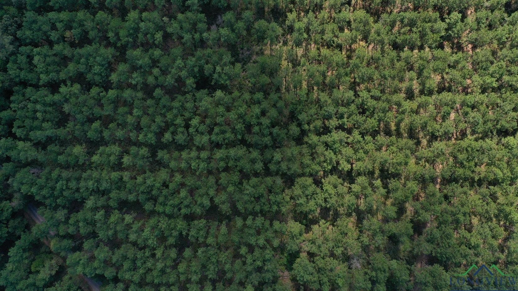 13.59 acres in Texas County - photo 3