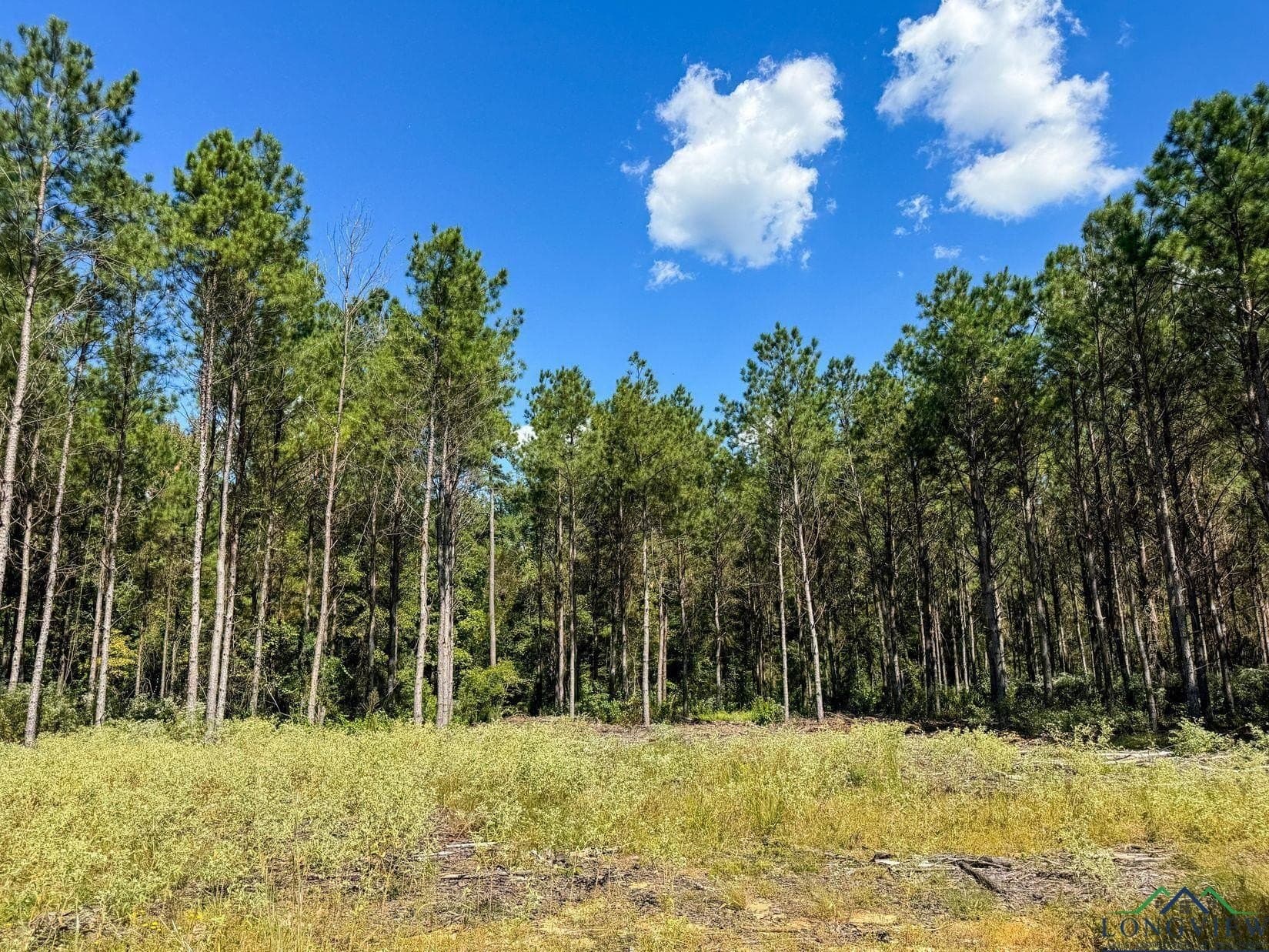 13.59 acres in Texas County - photo 10
