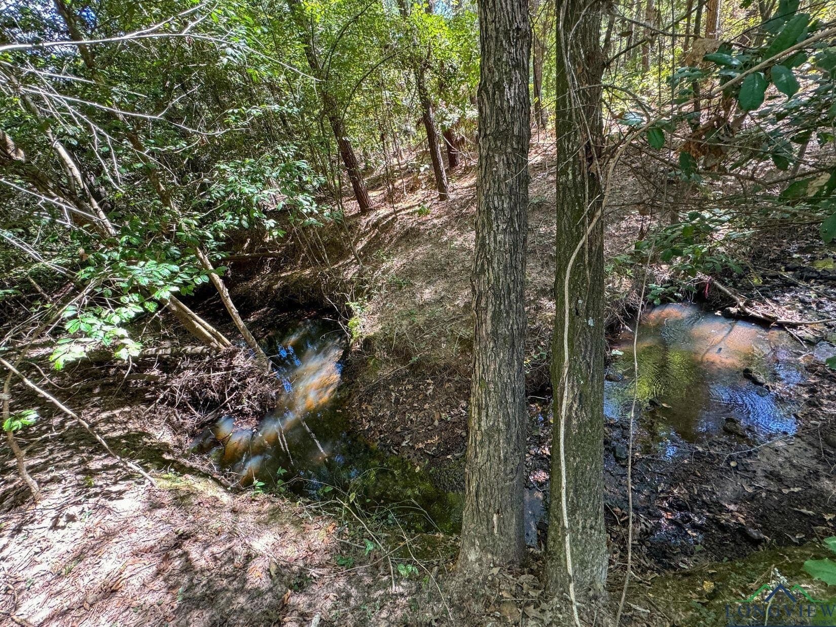 13.59 acres in Texas County - photo 6