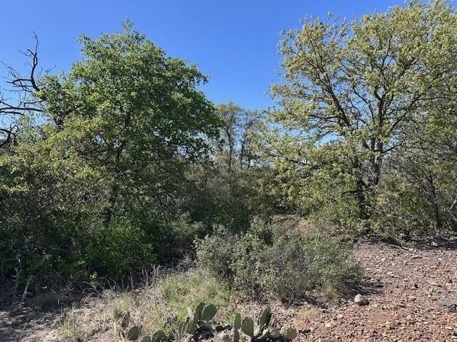 3.46 acres in Eastland County - photo 3