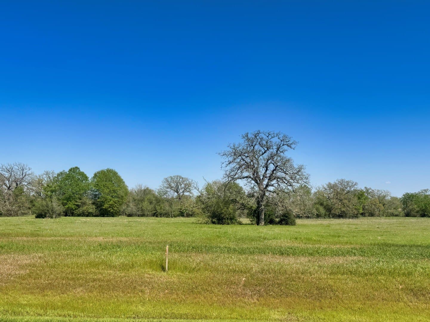 10172 Panther Creek Drive