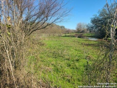 14.07 acres in Wilson County - photo 3