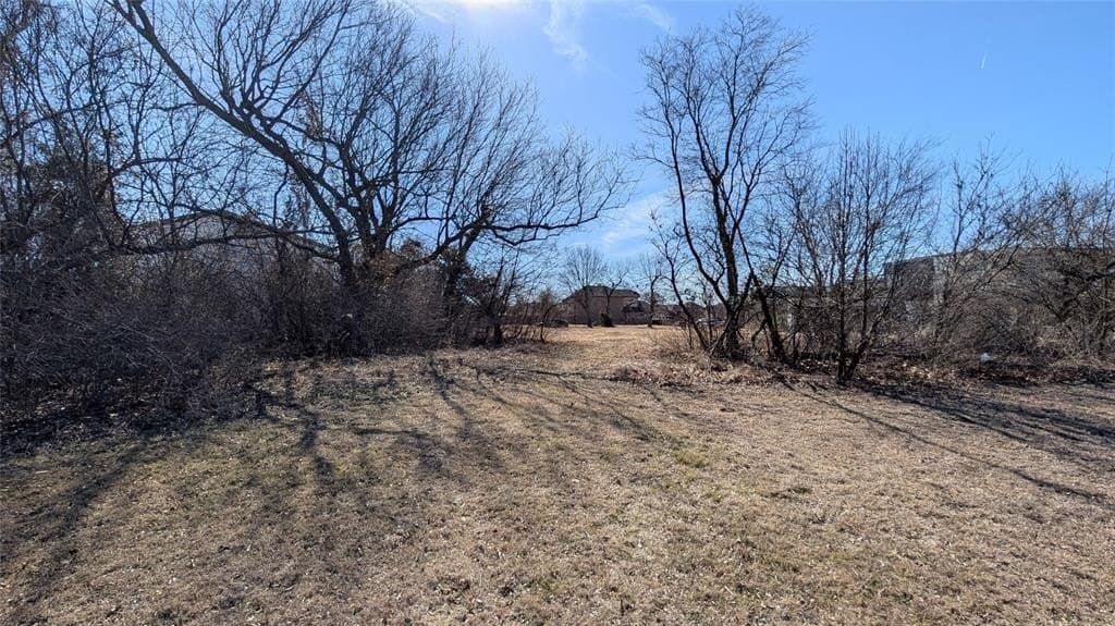 0.27 acres in Dallas County - photo 18